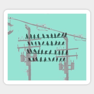 Birds On A WIre - Turquoise Sticker